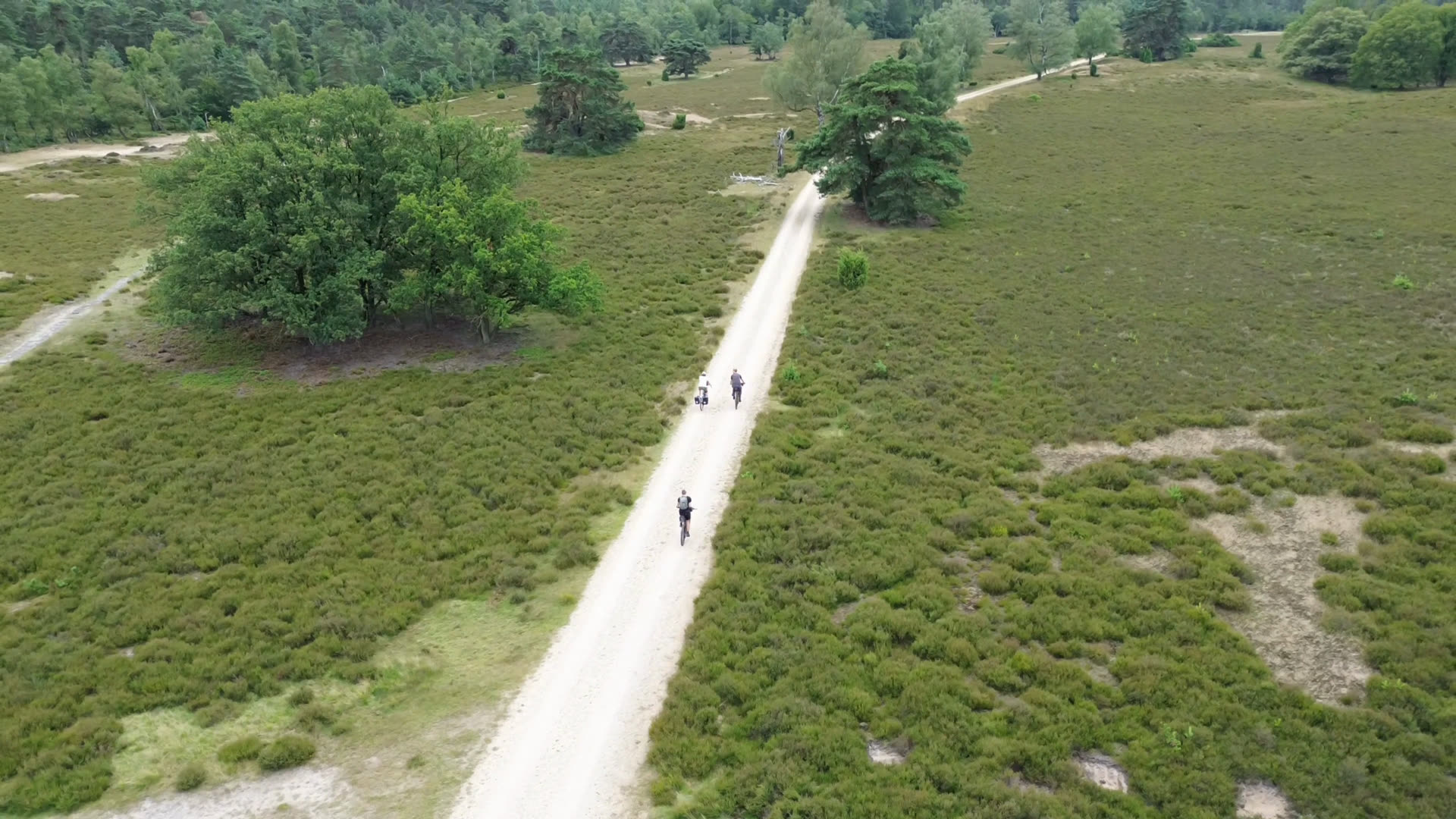 Fietsers op een zandpad over de heide